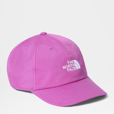 Boys' The North Face 66 Classic Tech Ball Caps Purple | US-19064