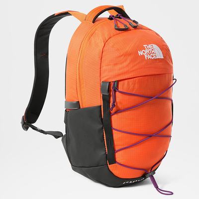 Boys' The North Face BOREALIS MINI Backpacks Red Orange Purple | US-89165