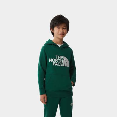 Boys' The North Face DREW PEAK Hoodie Green | US-53281