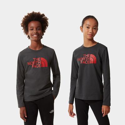 Boys' The North Face Easy Long-Sleeve T Shirts Grey Red | US-86210