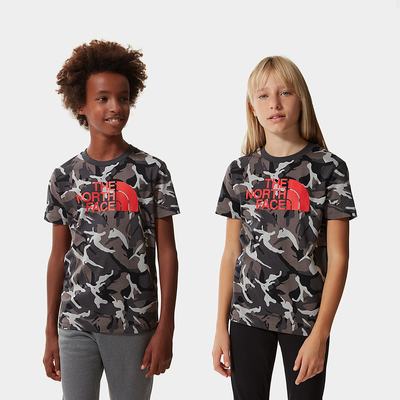 Boys' The North Face Easy Short-Sleeve T Shirts Grey Camo | US-08425