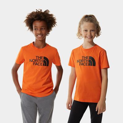 Boys' The North Face Easy Short-Sleeve T Shirts Red | US-39186