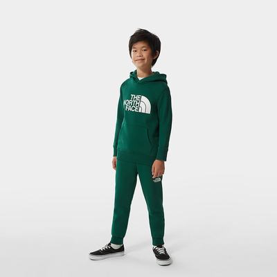 Boys' The North Face Fleece Joggers Green White | US-50368