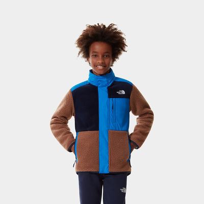 Boys' The North Face Forest Mixed Media Full-Zip Jackets Deep Green Brown | US-14276