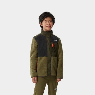 Boys' The North Face Forest Mixed Media Full-Zip Fleeces Olive Green | US-71068