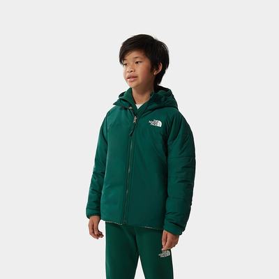 Boys' The North Face Printed Reversible Perrito Insulated Jackets Green | US-80916