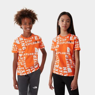 Boys' The North Face SIMPLE DOME T Shirts Red Orange | US-18649