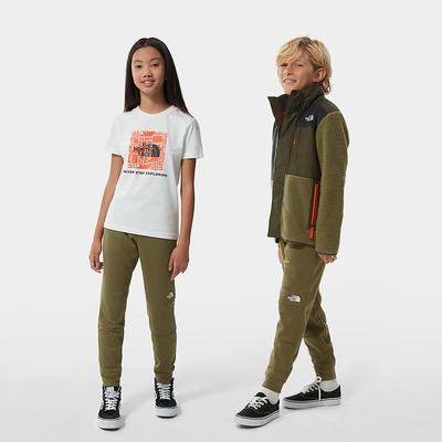 Boys' The North Face SURGENT JOGGERS Joggers Olive Green | US-26183