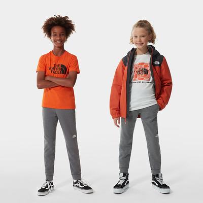 Boys' The North Face SURGENT JOGGERS Pants Grey | US-69145