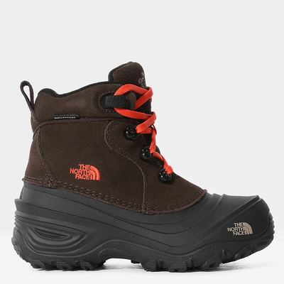 Girls' The North Face Chilkat Lace II Boots Coffee Brown | US-31785