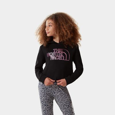 Girls' The North Face DREW PEAK CROPPED Hoodie Black Purple | US-85240