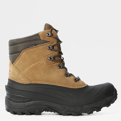 Men's The North Face Chilkat IV Insulated Winter Boots Brown / Green | US-14537