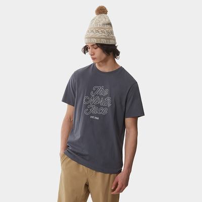 Men's The North Face NATURAL WONDERS T Shirts Grey | US-68023