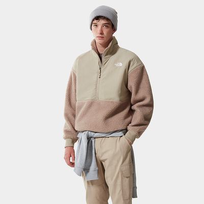 Men's The North Face PLATTE SHERPA ¼ ZIP FLEECE Sweatshirt Light Brown | US-78159