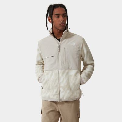 Men's The North Face Printed Denali 2 Fleeces Silver Grey Silver Grey | US-06189