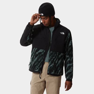 Men's The North Face Printed Denali 2 Sweatshirt Green | US-30197