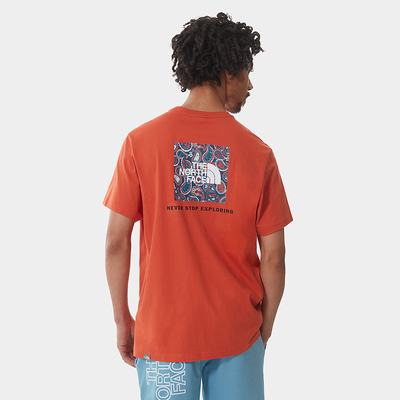 Men's The North Face Redbox T Shirts Blue Grey | US-08614