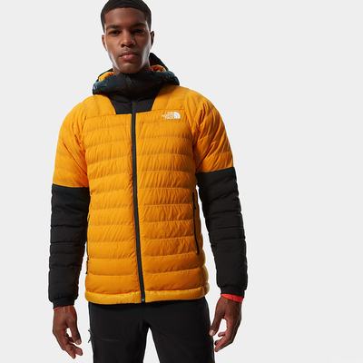 Men's The North Face Summit Series™ L3 50/50 Hooded Down Jackets Gold Black | US-95401