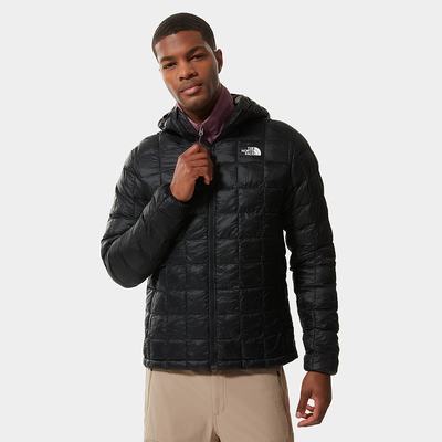 Men's The North Face THERMOBALL™ Eco Hooded Jackets Black | US-86314