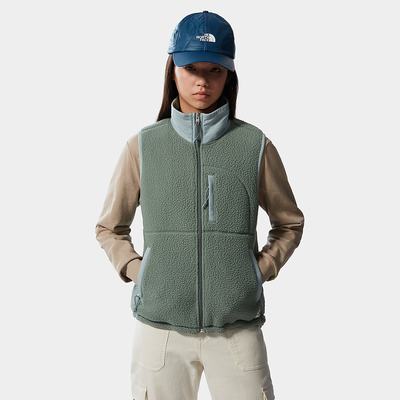 Women's The North Face Cragmont Fleece Sweatshirt Green Silver Blue | US-15789