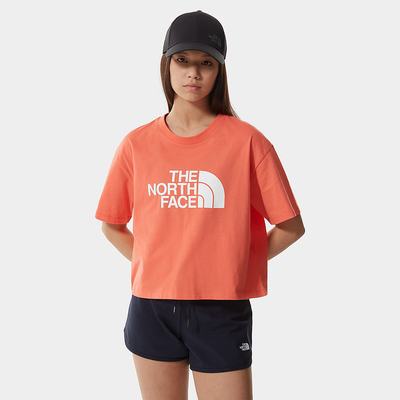 Women's The North Face EASY CROPPED T Shirts Orange | US-81725