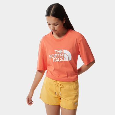 Women's The North Face Relaxed Summer T Shirts Orange | US-40521